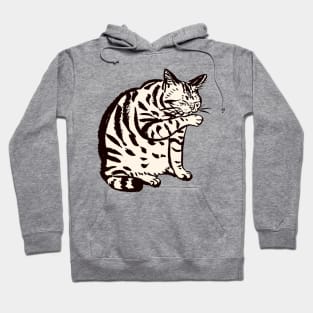 cute cats Hoodie